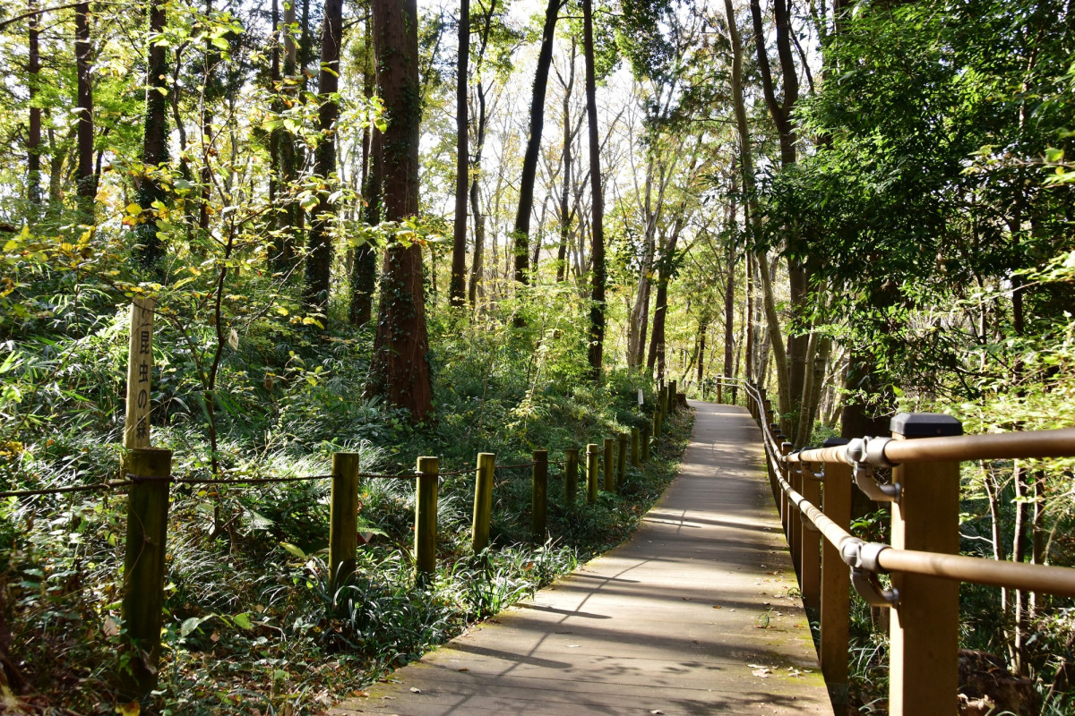 県立座間谷戸山公園｜体験・観光スポット ｜【公式】神奈川県のお出かけ・観光・旅行サイト「観光かながわNOW」